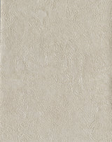 Radiator Pewter Plaster Texture Wallpaper by Warner - YKMRE1248N