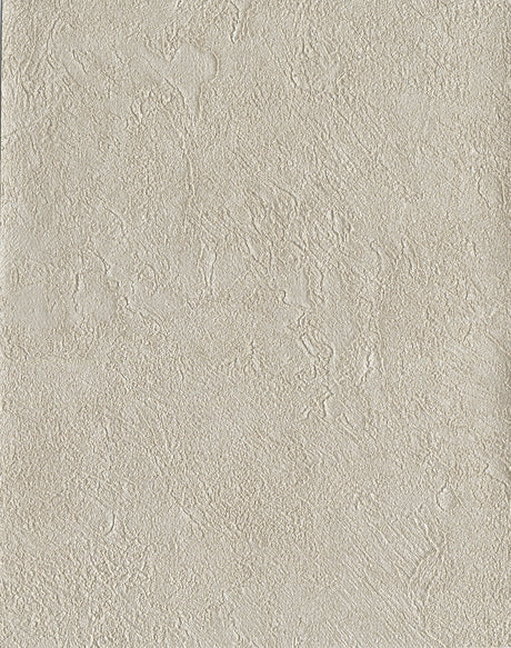 Radiator Pewter Plaster Texture Wallpaper by Warner - YKMRE1248N