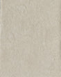 Radiator Pewter Plaster Texture Wallpaper by Warner - YKMRE1248N