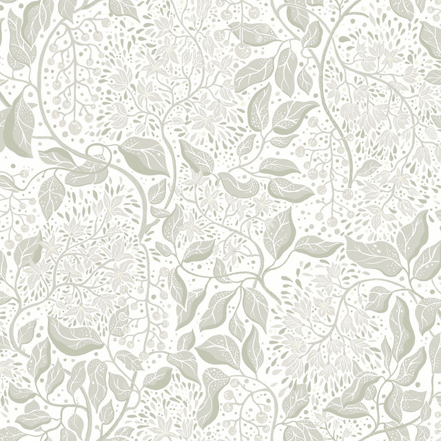 Turi Sage Twining Vines Wallpaper with Botanical Farmhouse Pattern - A-Street Prints 4143-22020