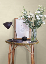 Agave Yellow Faux Grasscloth Wallpaper with Raised Ink Textured Graphics - A-Street Prints 4143-24280