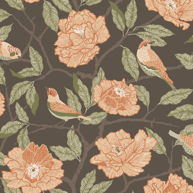 Bernadina Black Rosebush Wallpaper with Botanical Floral and Birds Bohemian Style - A-Street Prints 4143-34026