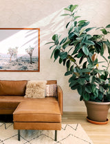 Encircle Dove Geometric Wallpaper with Bohemian Graphics Pattern - A-Street Prints 4146-27201