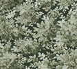 A-Street Prints Greenwood Dark Green Deciduous Wallpaper pattern, SKU 4147-80004