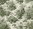 Greenwood Moss Deciduous Wallpaper by A-Street Prints, non woven botanical tree pattern, 27 in x 27 ft roll