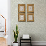 Chrysantha Sage by Chesapeake Berry Branches Wallpaper – Brewster Home Fashions 4148-27444