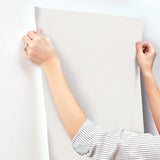 Parget Äggskal Eggshell Textured Wallpaper with Solid Plaster-Look - A-Street Prints 4153-77019
