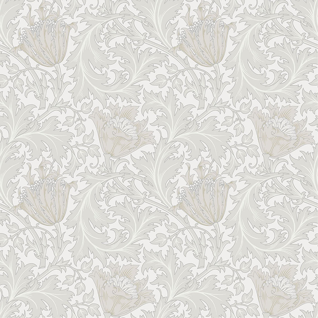 Anemone Dove Floral Trail Wallpaper with Botanical Flower Pattern - A?Street Prints 4153-82001