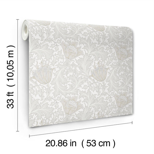 Anemone Dove Floral Trail Wallpaper with Botanical Flower Pattern - A?Street Prints 4153-82001