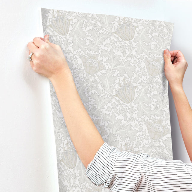 Anemone Dove Floral Trail Wallpaper with Botanical Flower Pattern - A?Street Prints 4153-82001