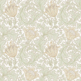 Anemone Light Green Floral Trail Wallpaper with Botanical Floral Pattern, Traditional Style - A-Street Prints 4153-82002