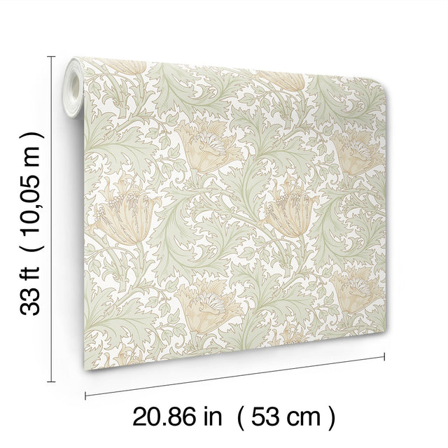 Anemone Light Green Floral Trail Wallpaper with Botanical Floral Pattern, Traditional Style - A-Street Prints 4153-82002