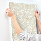 Anemone Light Green Floral Trail Wallpaper with Botanical Floral Pattern, Traditional Style - A-Street Prints 4153-82002