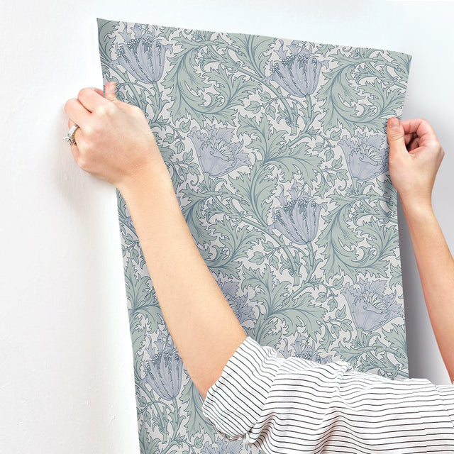 Anemone Blue Floral Trail Wallpaper with Botanical Flowers Pattern, Traditional Style - Brewster 4153-82003