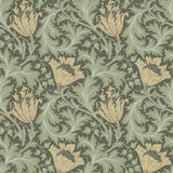 Anemone Moss Floral Trail Wallpaper with Botanical Floral Trail Pattern - A-Street Prints 4153-82004