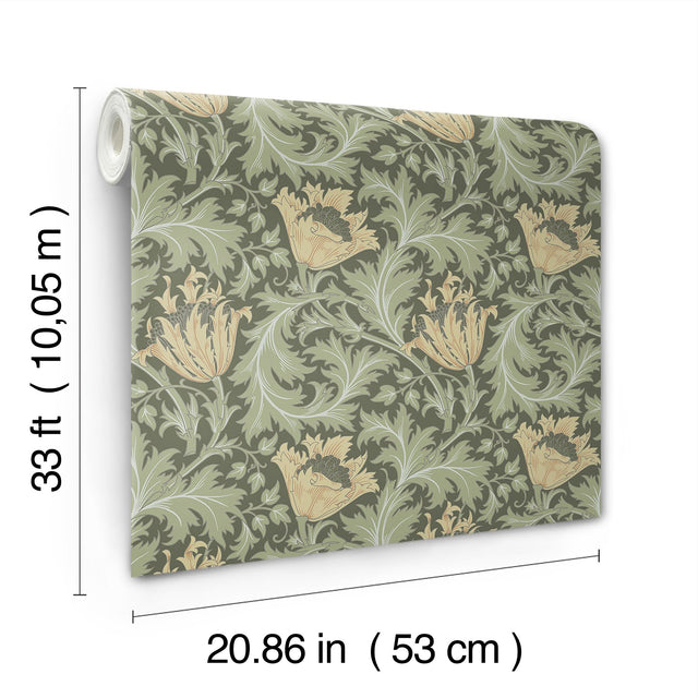 Anemone Moss Floral Trail Wallpaper with Botanical Floral Trail Pattern - A-Street Prints 4153-82004