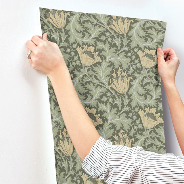 Anemone Moss Floral Trail Wallpaper with Botanical Floral Trail Pattern - A-Street Prints 4153-82004