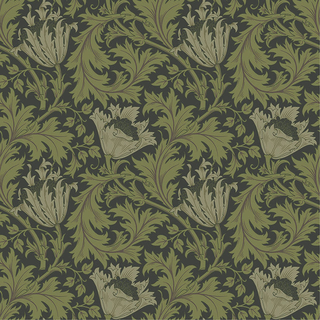 Anemone Dark Green Floral Trail Wallpaper with Botanical Floral Pattern - A-Street Prints 4153-82005