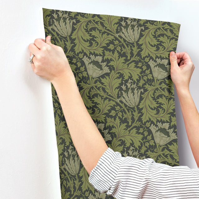 Anemone Dark Green Floral Trail Wallpaper with Botanical Floral Pattern - A-Street Prints 4153-82005