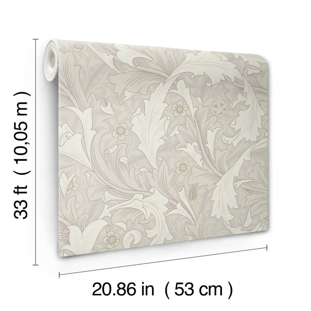 Granville White Leafy Vine Wallpaper with Traditional Botanical Acanthus Motif - A-Street Prints 4153-82011