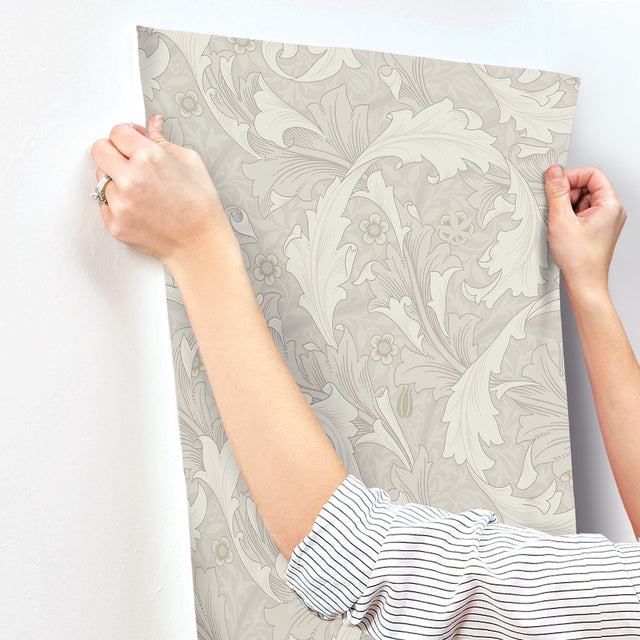 Granville White Leafy Vine Wallpaper with Traditional Botanical Acanthus Motif - A-Street Prints 4153-82011