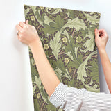 Granville Plum Leafy Vine Wallpaper with Botanical Traditional Pattern - A-Street Prints 4153-82013