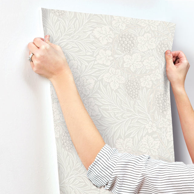 Vine White Woodland Fruits Wallpaper with Botanical Vine and Grape Motif - Brewster 4153-82016