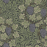 Vine Green Woodland Fruits Wallpaper with Traditional Botanical Vine Pattern - A-Street Prints 4153-82019