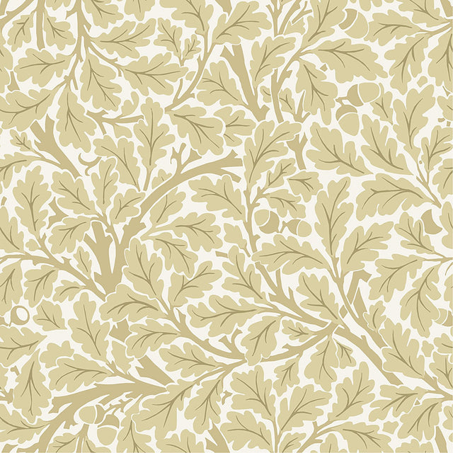 Oak Tree Light Yellow Leaf Wallpaper with Botanical Leaf Motif - A-Street Prints 4153-82027