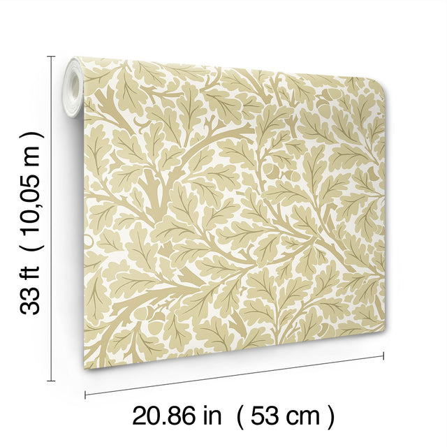 Oak Tree Light Yellow Leaf Wallpaper with Botanical Leaf Motif - A-Street Prints 4153-82027
