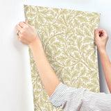 Oak Tree Light Yellow Leaf Wallpaper with Botanical Leaf Motif - A-Street Prints 4153-82027