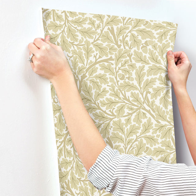 Oak Tree Light Yellow Leaf Wallpaper with Botanical Leaf Motif - A-Street Prints 4153-82027