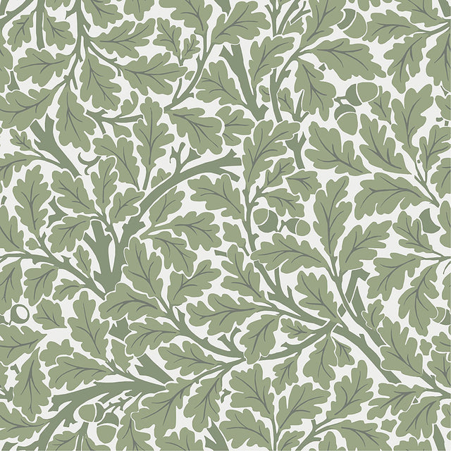 Oak Tree Green Leaf Wallpaper with Botanical Leaves Pattern - A-Street Prints 4153-82028