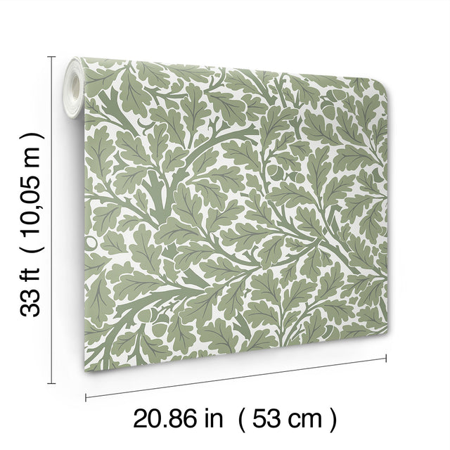 Oak Tree Green Leaf Wallpaper with Botanical Leaves Pattern - A-Street Prints 4153-82028