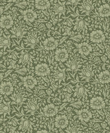 Mallow Dark Green Floral Vine Wallpaper with Botanical Floral Pattern - A?Street Prints 4153-82042
