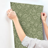 Mallow Dark Green Floral Vine Wallpaper with Botanical Floral Pattern - A?Street Prints 4153-82042