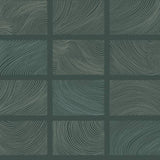 Bronson Evergreen Topography Wallpaper by A-Street Prints 4155-72800