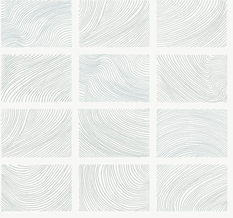 Bronson Sterling Topography Wallpaper by A-Street Prints