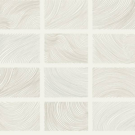 Bronson Ivory Topography Wallpaper – A-Street Prints