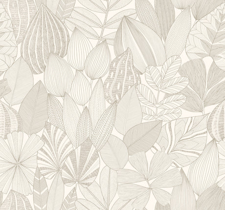 A-Street Prints Mathias Taupe Botanical Wallpaper roll and room view