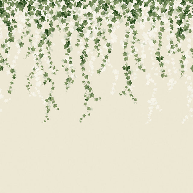 Trailing Ivy Green Wall Mural with Country Botanical Vines Pattern - Advantage 4164-50942
