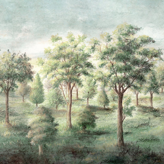 Orchard Green Scenic Trees Wall Mural with Woodland Forest Illustration - Advantage 4164-50943
