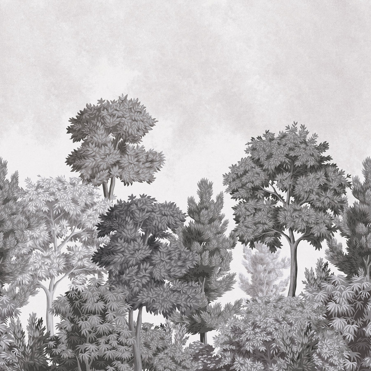Delamere Mono Grey Scenic Trees Wall Mural - Advantage 4164-50945