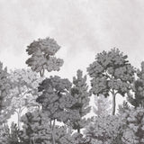 Delamere Mono Grey Scenic Trees Wall Mural - Advantage 4164-50945