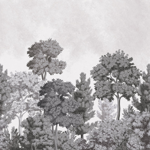 Delamere Mono Grey Scenic Trees Wall Mural - Advantage 4164-50945