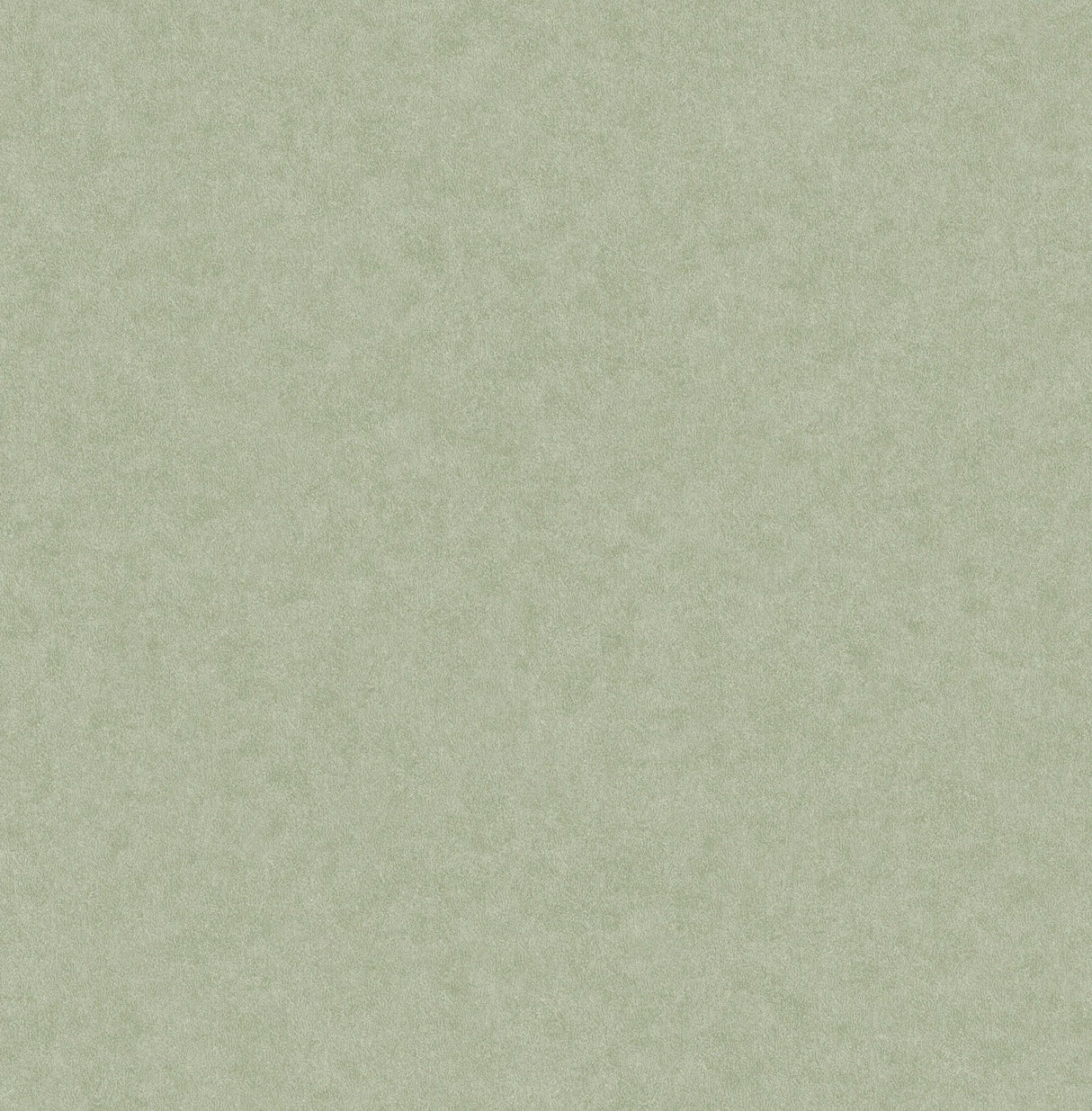 Heritage Green Plain Wallpaper with Textured Solid Pattern - Advantage 4164-M1837