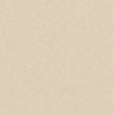 Heritage Beige Plain Wallpaper with Textured Solid Pattern - Advantage 4164-M1838