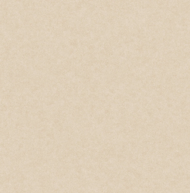 Heritage Beige Plain Wallpaper with Textured Solid Pattern - Advantage 4164-M1838
