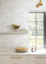 Al Fresco Champagne by Advantage Plaster Wallpaper- Brewster Home Fashions 4168-17701