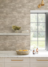 Al Fresco Chocolate by Advantage Plaster Wallpaper – Brewster Home Fashions 4168-17709